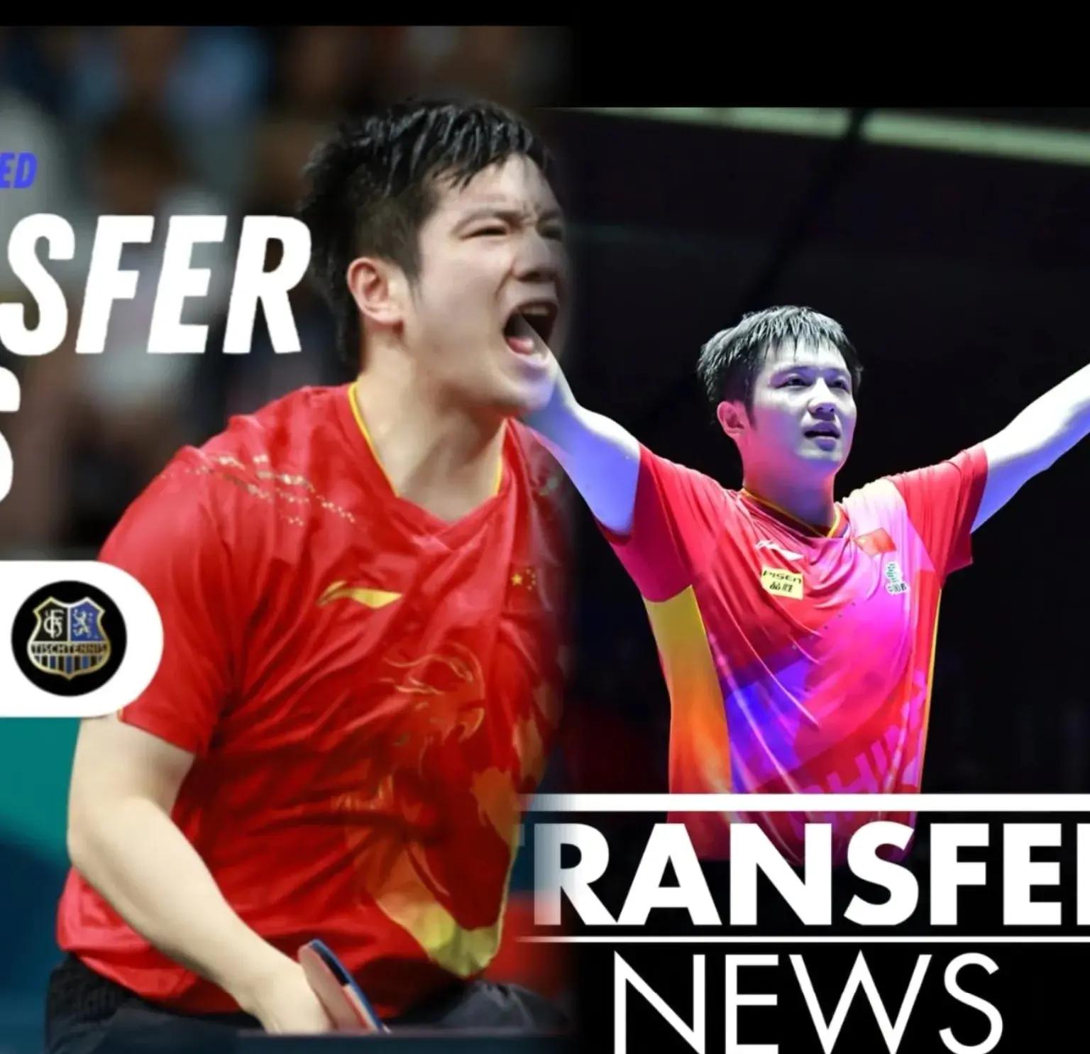 关于英国乒乓球队血洗瑞典乒乓球队，樊振东爆发神勇的信息