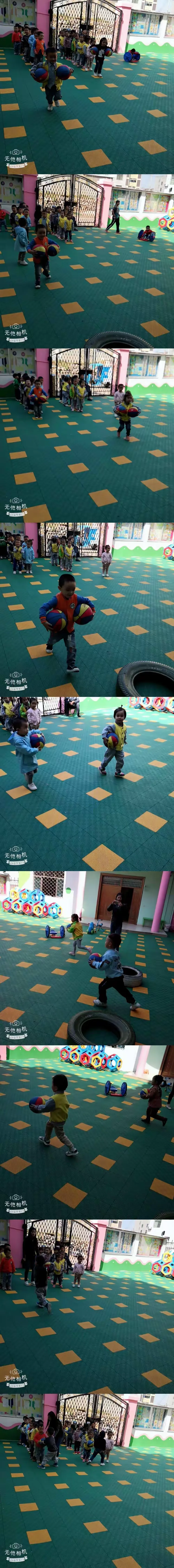 滚球预测队主教练发声，誓言带队登顶的简单介绍