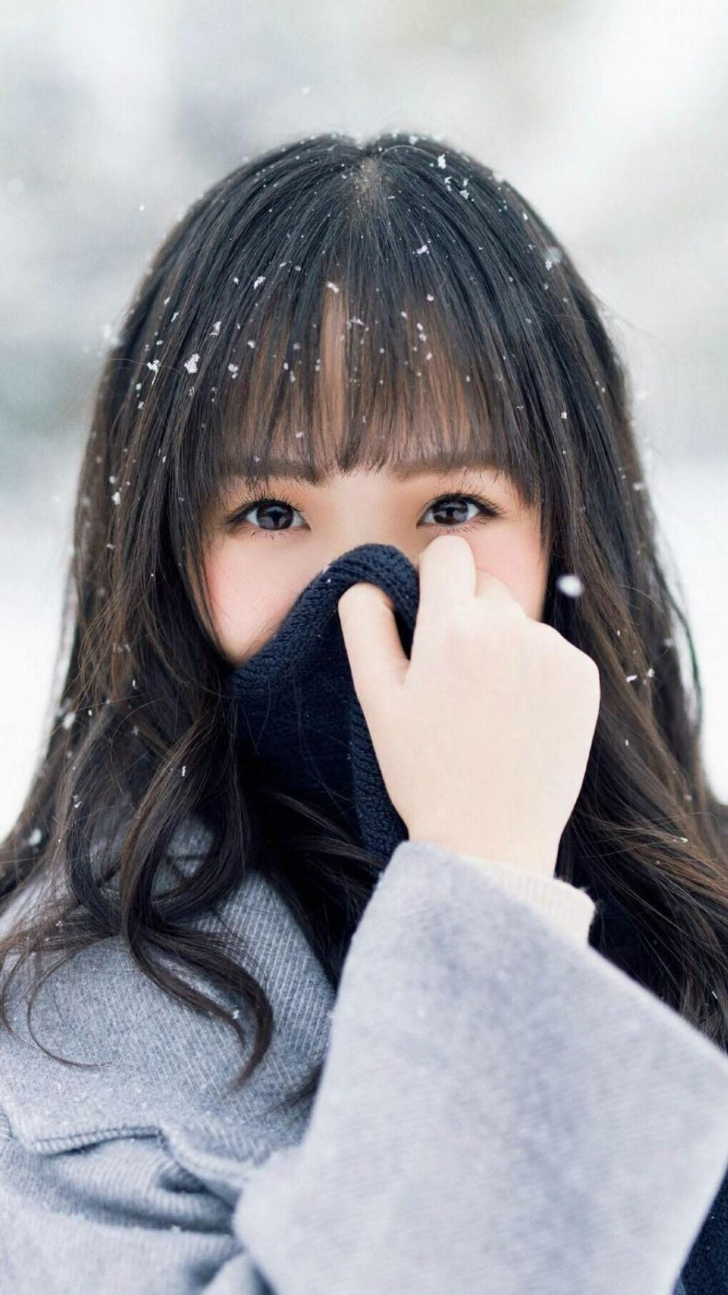 战车与高卢雄鸡的冰火之歌，当波尔用最后一拍点燃法兰西的夜