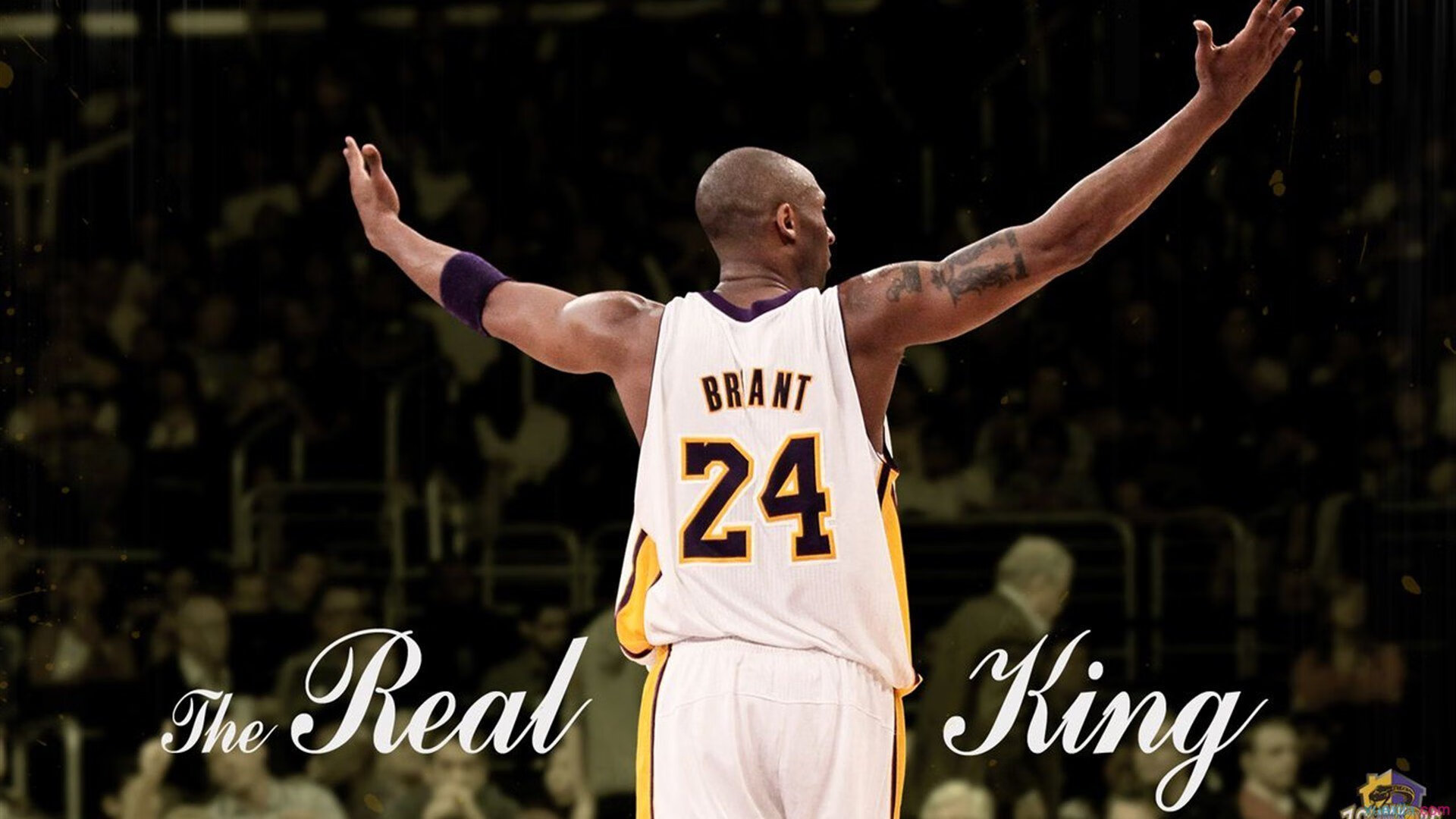 超频引擎，范戴克在F1争冠之夜的全能狂飙