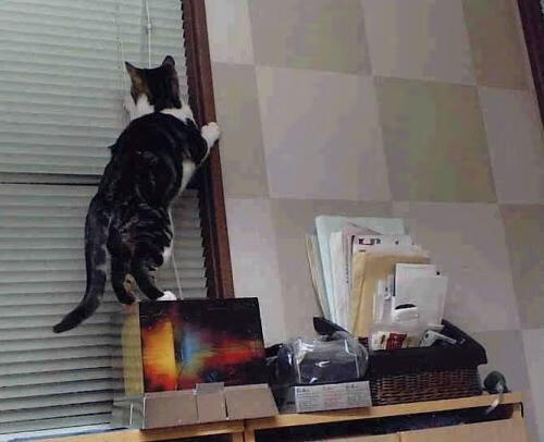 颠覆秩序,一场非典型焦点战,加纳全明星如何以团队洪流全面压制传奇AC米兰