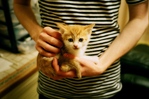 跨越太平洋的胜利,浙江队如何以东方战舰姿态强势拿下快船,布伦森成为关键先生