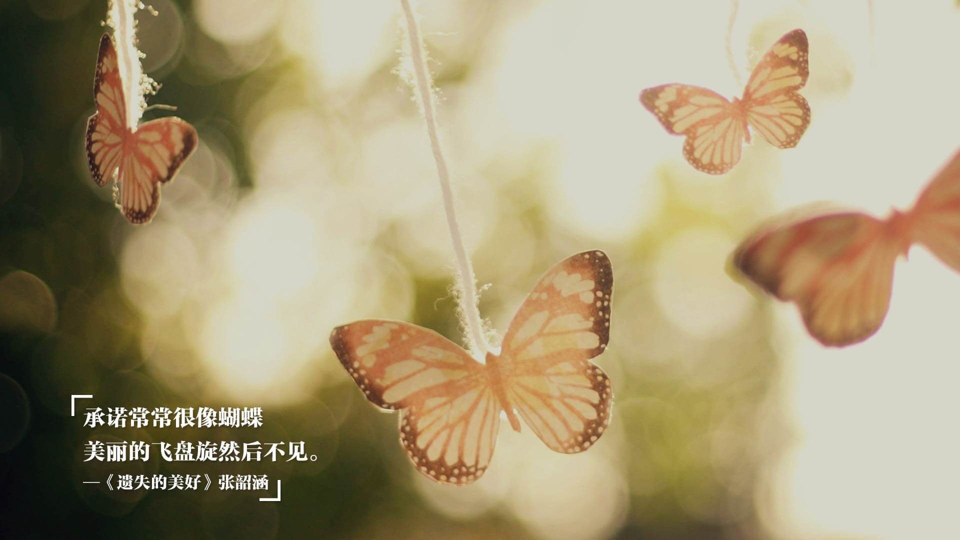 安达卢西亚之夜,当塞维利亚扇子舞遇上摩洛哥沙漠风,格纳布里一锤定音