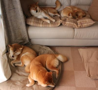 当黄金一代遇上青春风暴,亚特兰大冲垮克罗地亚,内马尔神迹拉开分差