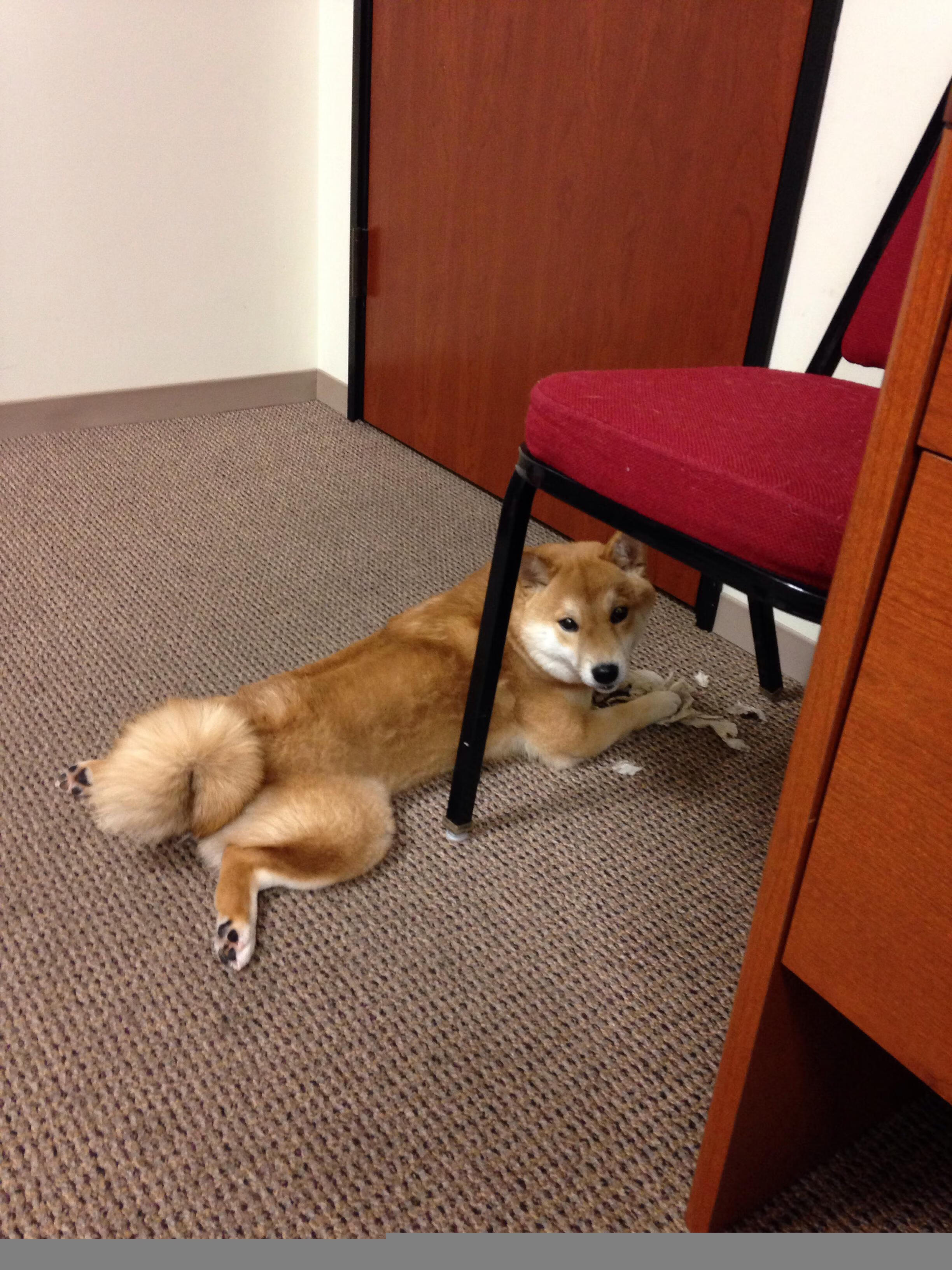 唯一性，加维与亚特兰大如何在不同战场上，提前终结比赛的悬念