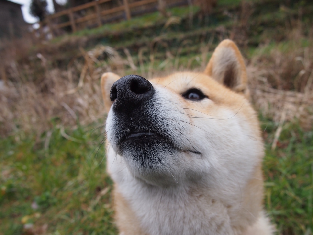 冰刃破晓，瑞士冰川防线碾碎韩国旋风，抢七生死战改写冬奥史