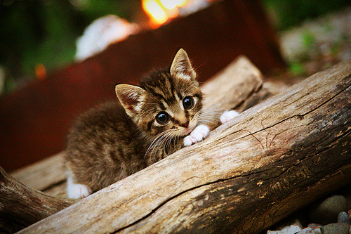 布克立体统治引爆赛场！76人死亡五小奇招压垮奇才