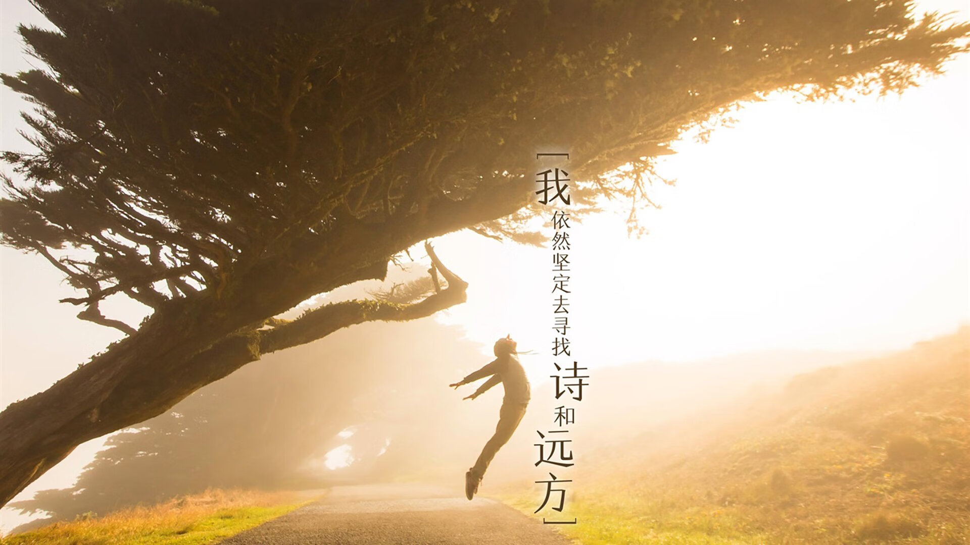 在北纬59度的寒夜里，一道来自阿森纳的光，萨卡如何在2026世界杯G组终结挪威神话