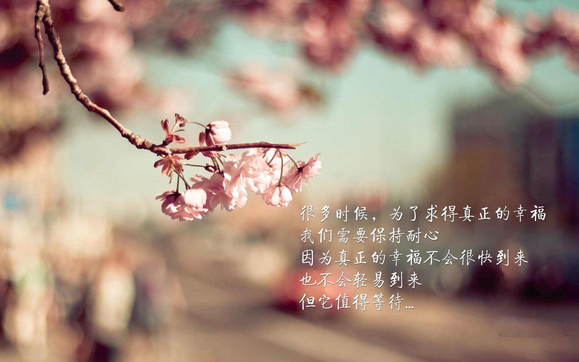 宿命对决，2026世界杯H组生死局，巴西碾压美国，久保建英压哨绝杀书写东瀛传奇
