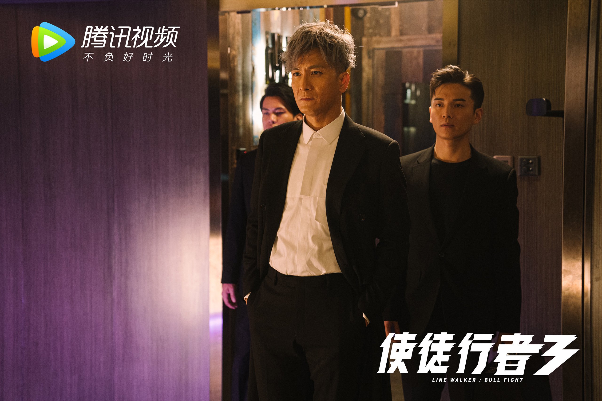 郁金香凋零在基多之巅,范戴克孤星闪耀难救主,厄瓜多尔高原风暴席卷D组